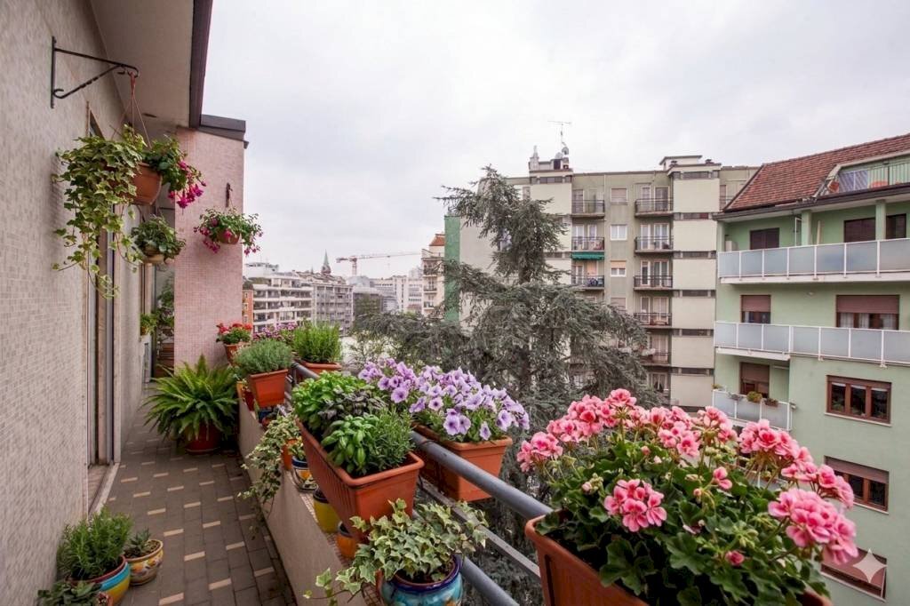Quadrilocale Milano - foto 1