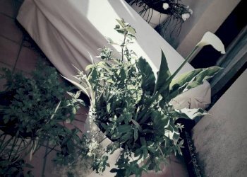 Non correlato - Casa indipendente Via Marco MInghetti
 
66-68, San Giuseppe Jato - foto 7