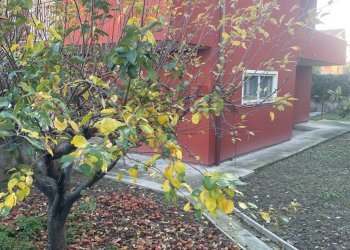 Casa all\'aperto - Villa Montesilvano - foto 6