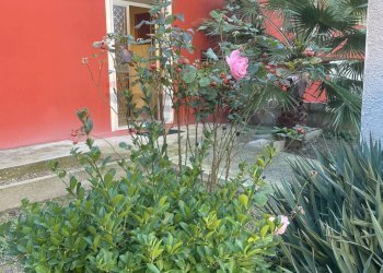 Giardino - Villa Montesilvano - foto 7