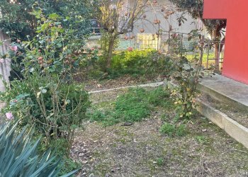 Giardino - Villa Montesilvano - foto 8