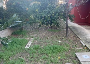 Giardino - Villa Montesilvano - foto 23