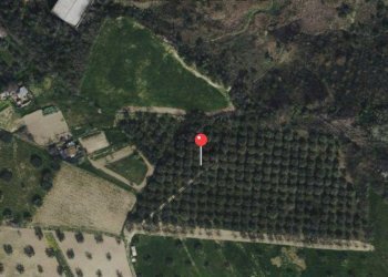 Posizione della mappa - Terreno edificabile Montesilvano - foto 2