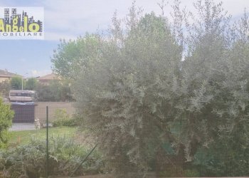 Foto 15 - Quadrilocale Via Serafino Cellini, Castel di Lama - foto 15
