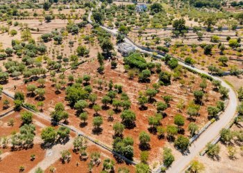 Foto 4 - Villa Contrada Scarciglia
 
236, Monopoli - foto 4