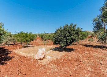 Foto 17 - Villa Contrada Scarciglia
 
236, Monopoli - foto 17