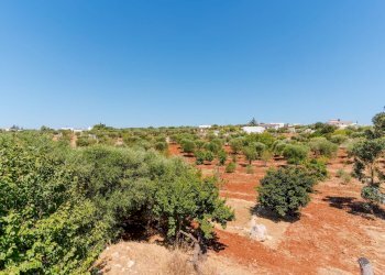 Foto 26 - Villa Contrada Scarciglia
 
236, Monopoli - foto 26