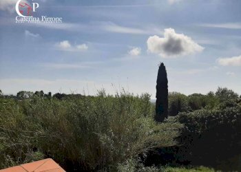 Foto 25 - Casa indipendente via dell'Erbaio
 
10, Guardistallo - foto 25