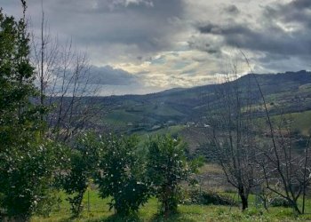 Terreno - Rustico via San Michele, 10, Cupramontana - foto 12