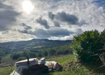 Vista - Rustico via San Michele, 10, Cupramontana - foto 15