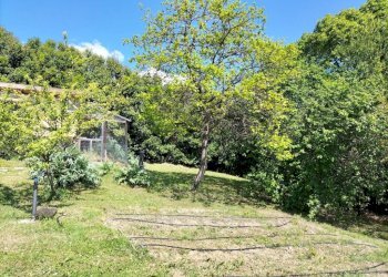 Terreno - Rustico via San Michele, 10, Cupramontana - foto 21