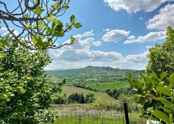 Vista - Rustico via San Michele, 10, Cupramontana - foto 25
