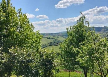 Terreno - Rustico via San Michele, 10, Cupramontana - foto 26