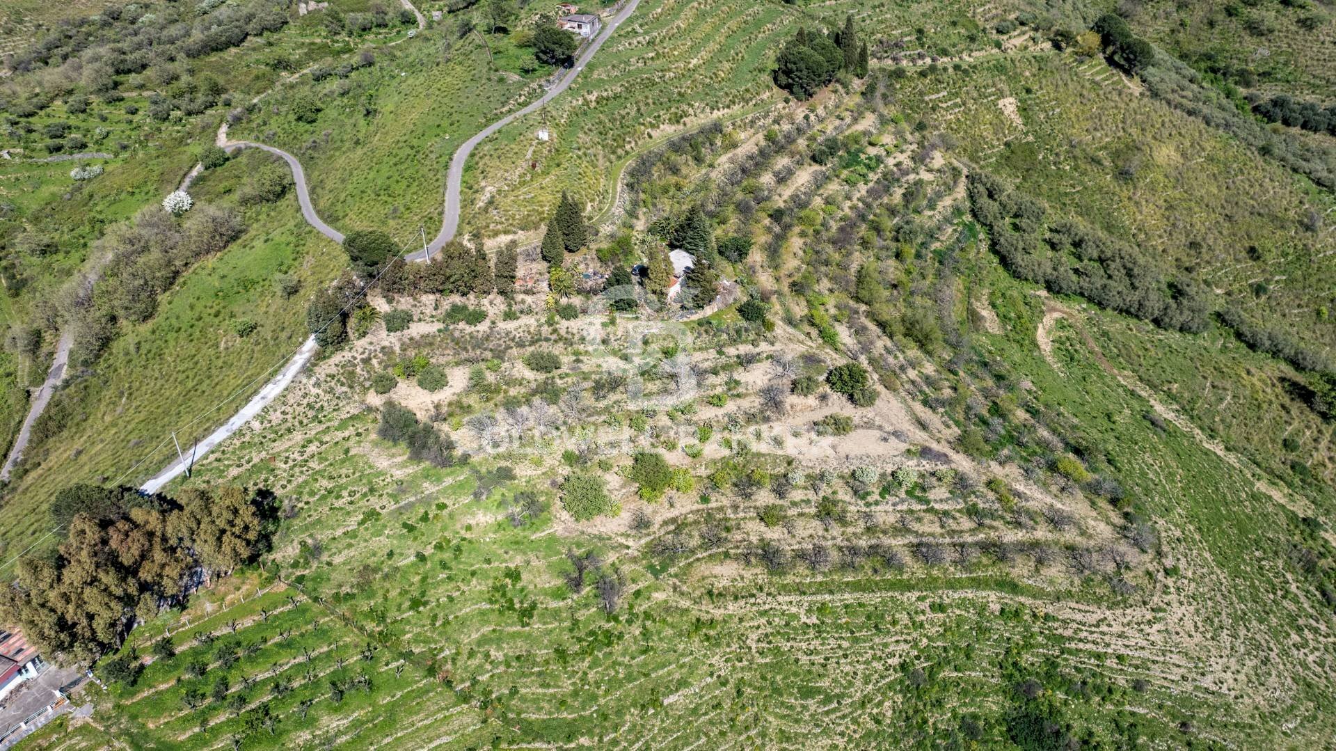 Foto 1 - Terreno agricolo Contrada Ciapparotto
 
sn, Linguaglossa - foto 1