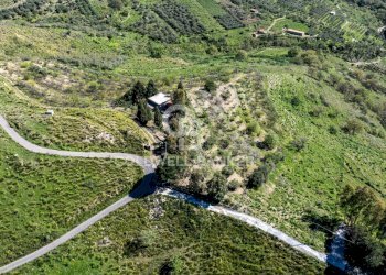 Foto 2 - Terreno agricolo Contrada Ciapparotto
 
sn, Linguaglossa - foto 2