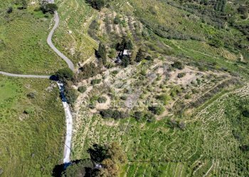 Foto 3 - Terreno agricolo Contrada Ciapparotto
 
sn, Linguaglossa - foto 3