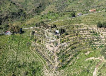 Foto 4 - Terreno agricolo Contrada Ciapparotto
 
sn, Linguaglossa - foto 4