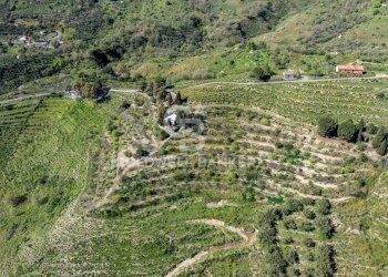 Foto 5 - Terreno agricolo Contrada Ciapparotto
 
sn, Linguaglossa - foto 5