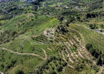 Foto 6 - Terreno agricolo Contrada Ciapparotto
 
sn, Linguaglossa - foto 6