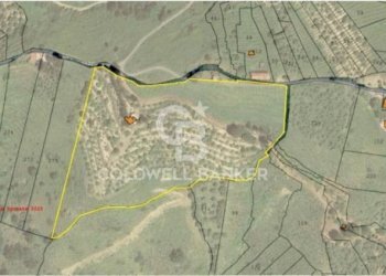 Foto 7 - Terreno agricolo Contrada Ciapparotto
 
sn, Linguaglossa - foto 7