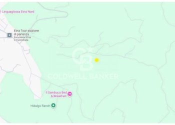 Foto 8 - Terreno agricolo Contrada Ciapparotto
 
sn, Linguaglossa - foto 8