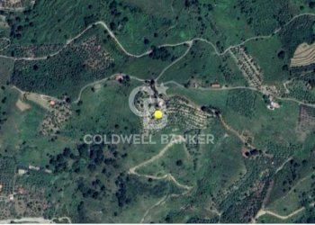 Foto 9 - Terreno agricolo Contrada Ciapparotto
 
sn, Linguaglossa - foto 9