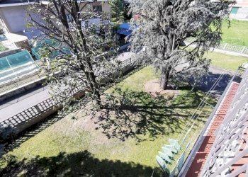 Giardino - Villa via Monte Grappa, 27, Leini - foto 10