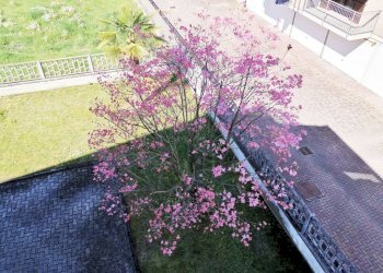 Cortile interno - Villa via Monte Grappa, 27, Leini - foto 30
