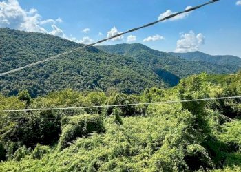 Terreno - Rustico via Cadelè Bricollo, 68, Serra Riccò - foto 16