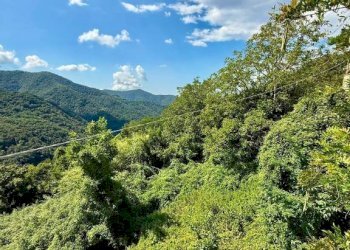 Terreno - Rustico via Cadelè Bricollo, 68, Serra Riccò - foto 20