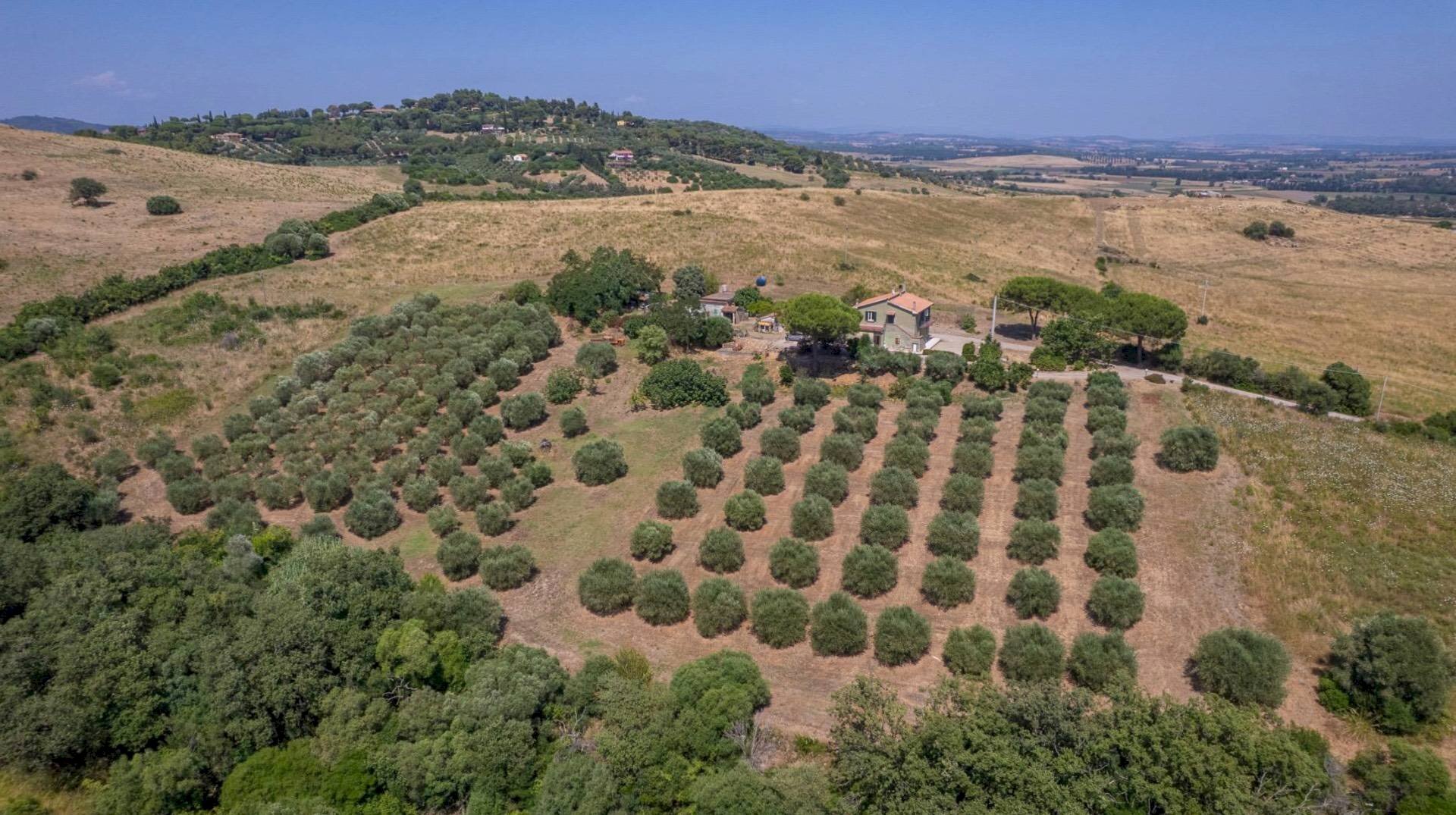 Foto 3 - Appartamento Strada Vicinale dei Bagnacci
 
23, Orbetello - foto 3