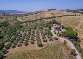 Foto 2 - Appartamento Strada Vicinale dei Bagnacci
 
23, Orbetello - foto 2