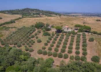 Foto 3 - Appartamento Strada Vicinale dei Bagnacci
 
23, Orbetello - foto 3