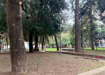 Foto 7 - Commercial Activity Piazza Principe Amedeo
 
21, Aversa - photo 7