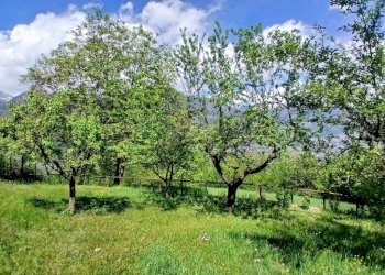 Terreno - Monolocale via San Bernardo, 73, Caiolo - foto 7