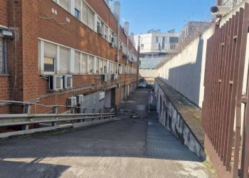 whatsapp image 2026-03-26 at 17.57.49 (1) - Magazzino via pietro l'eremita, Roma - foto 18