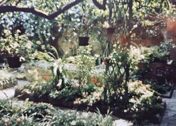 giardino 1 - Appartamento corso degli Inglesi, 244, Sanremo - foto 46