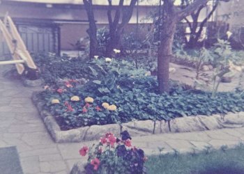 giardino 3 - Appartamento corso degli Inglesi, 244, Sanremo - foto 48