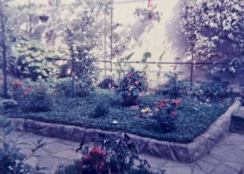giardino 4 - Appartamento corso degli Inglesi, 244, Sanremo - foto 49