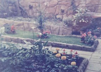 giardino 5 - Appartamento corso degli Inglesi, 244, Sanremo - foto 50