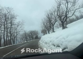 Vista - Stable - Palace via Lago delle More, Serramazzoni - photo 29