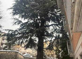 Zona - Stabile - Palazzo via Lago delle More, Serramazzoni - foto 26