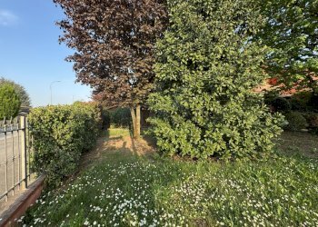 IMG_5627.jpeg - Villa Viale Lombardia, Izano - foto 13