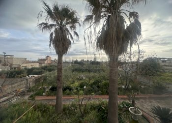 IMG_1211.JPG - Villa Mazara del Vallo - foto 6