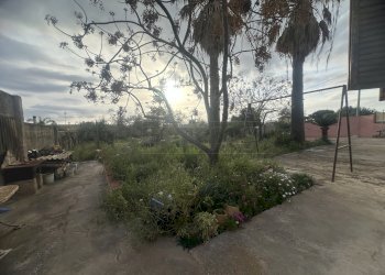 IMG_1220.JPG - Villa Mazara del Vallo - foto 8