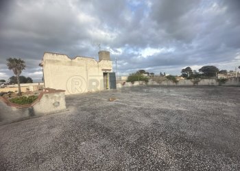 IMG_1213.JPG - Villa Mazara del Vallo - foto 19