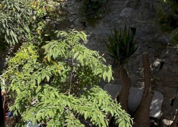 IMG_6182.jpeg - Independent house Via del Rossellino 40, Firenze - photo 12