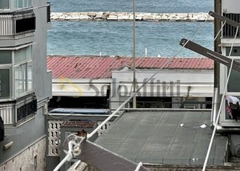 IMG_2934.jpg - Monolocale Via Niccolò Van Westerhouth 50, Bari - foto 18