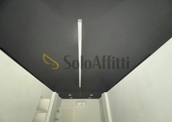 12.jpg - Ufficio Via San Donato, Torino (zona San Donato) - foto 9