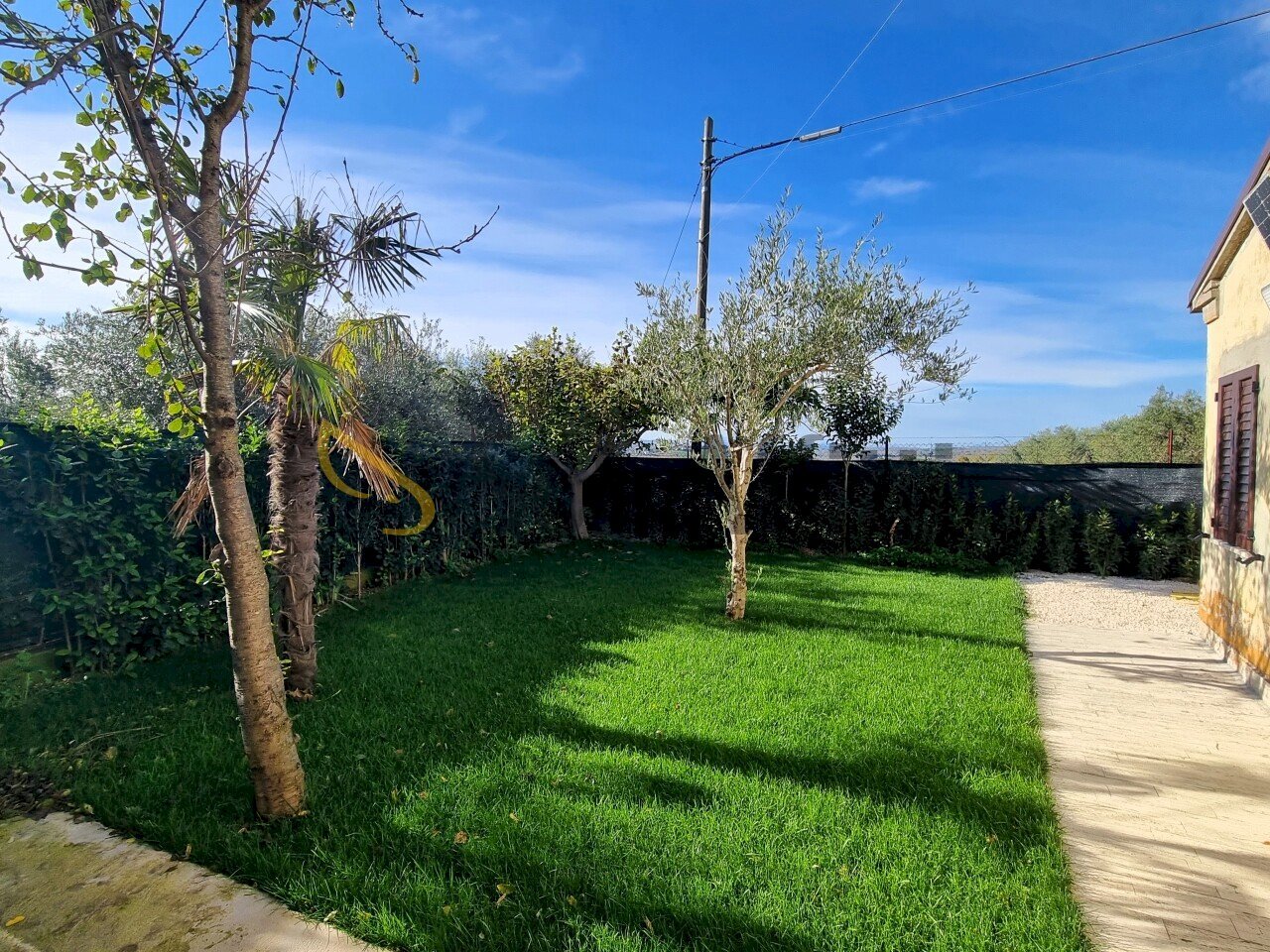 20241121_123809.jpg - Independent house Filottrano - photo 1